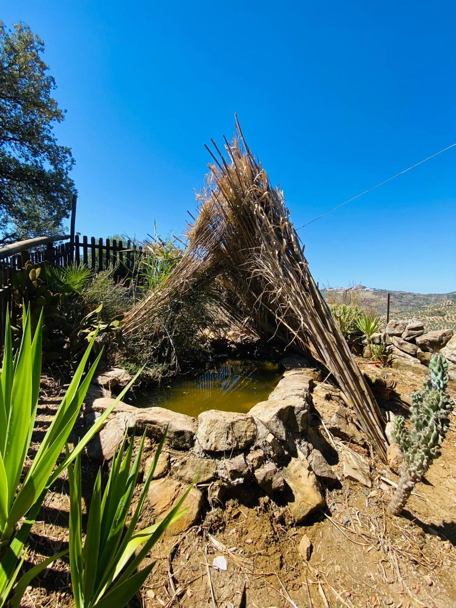Casa Rural Privada El Mirador De La Sierra Pruna Luaran gambar